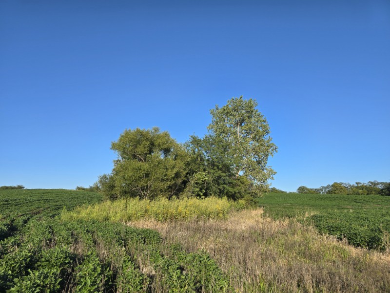 Listing photo 41